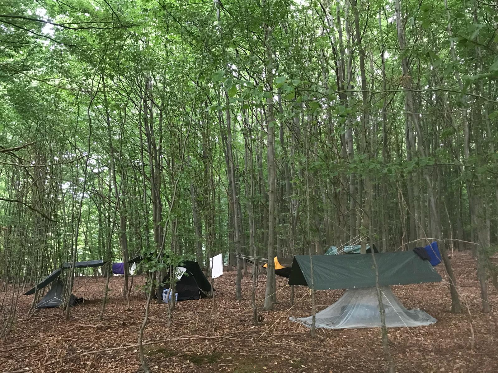 Schlafen im Wald
